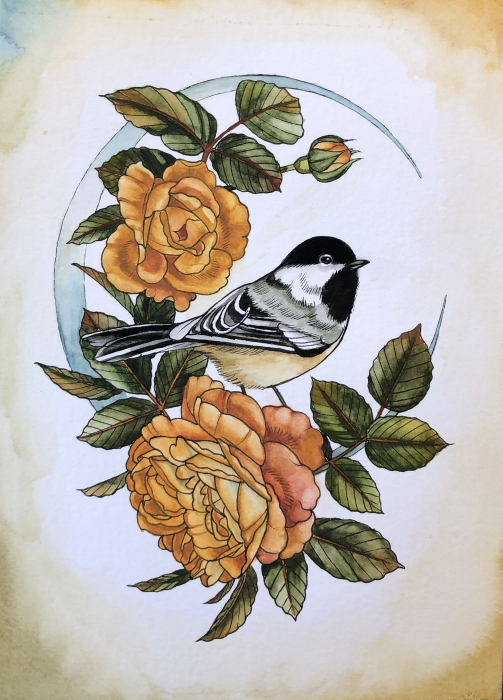 Chickadee