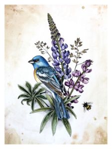 Lazulie Bunting with lupine