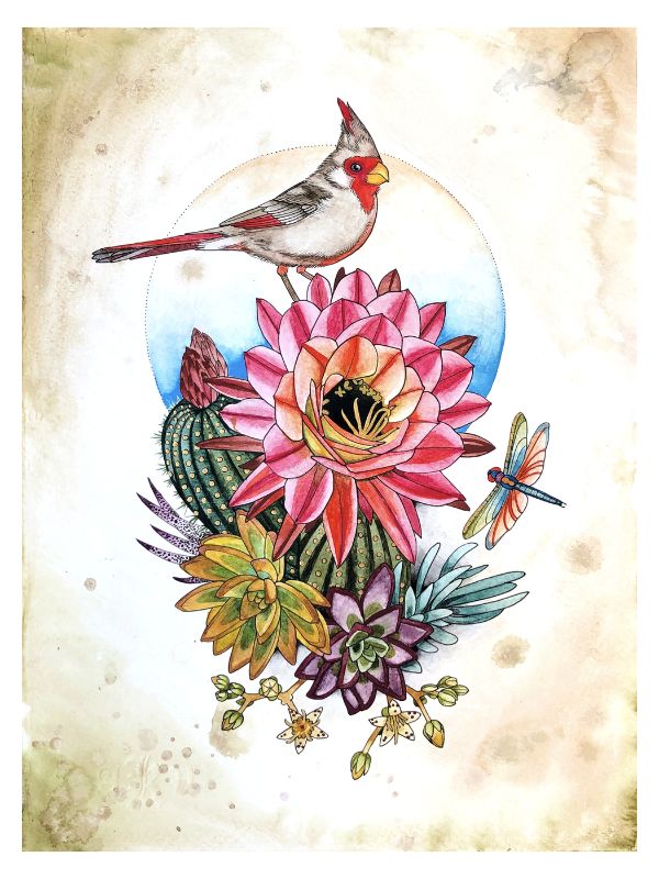 Pyrrhuloxia with cactus and succulents