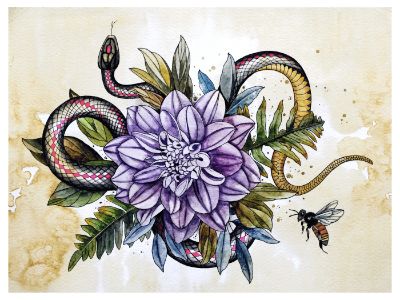 newest snake been dahli