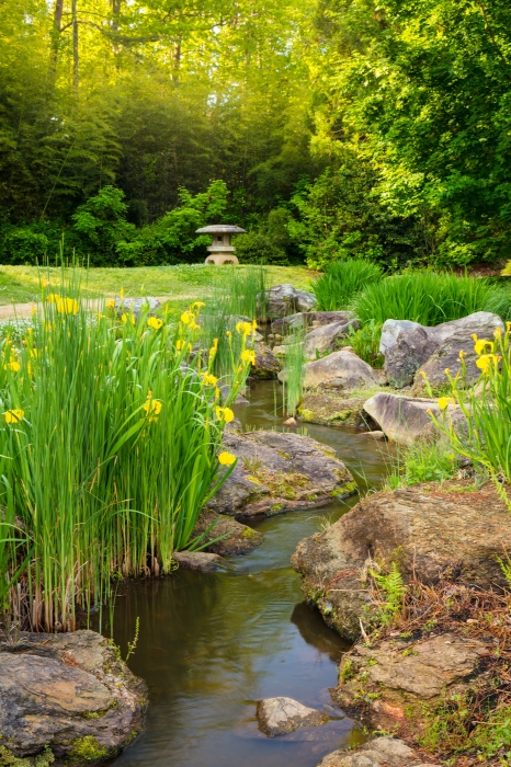 zengardenwithyellowirises-vert2-kdf