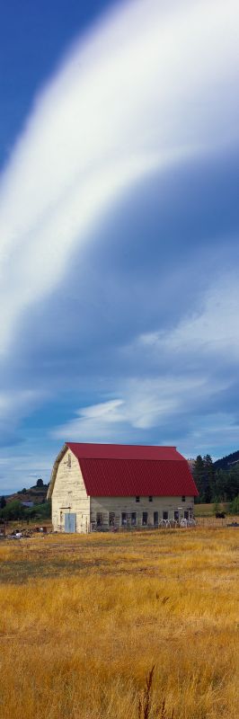 redbarnverticalhoodriverowd-1758