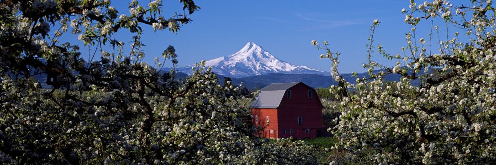 Hood River Barn & Mt Hood