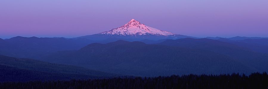 Mt Hood from Larch