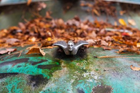 gaocccaddyfacefrontkdf