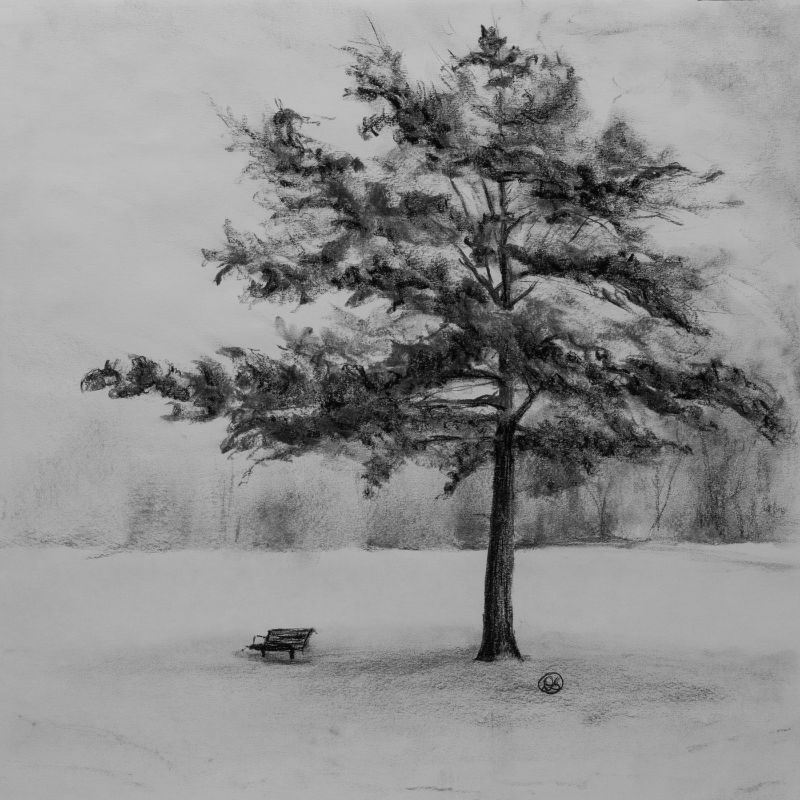 charcoal mackeys bench