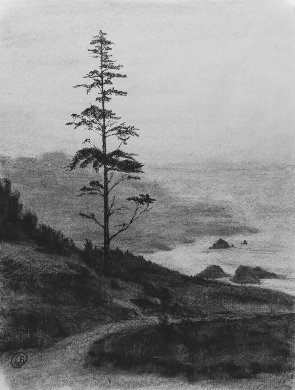 charcoal lone tree