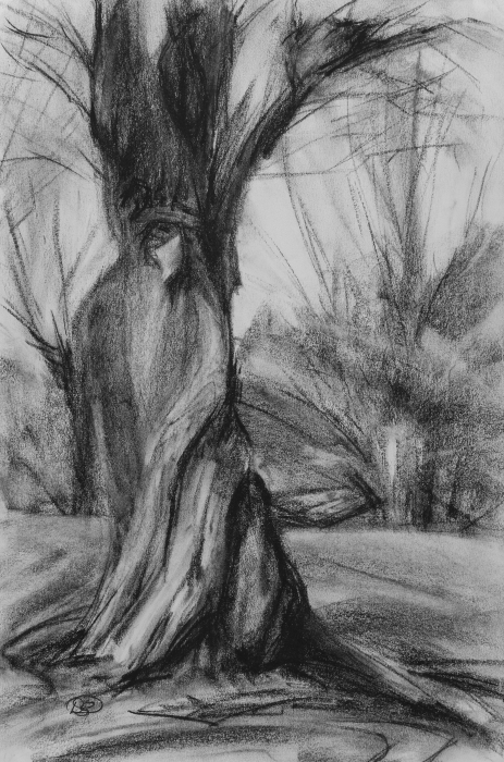 charcoal old friend
