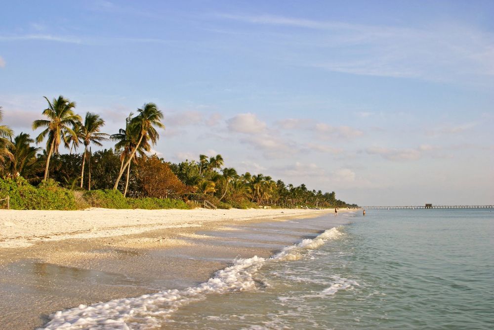 View along Naples beach from the Sea, lush greenery & sand