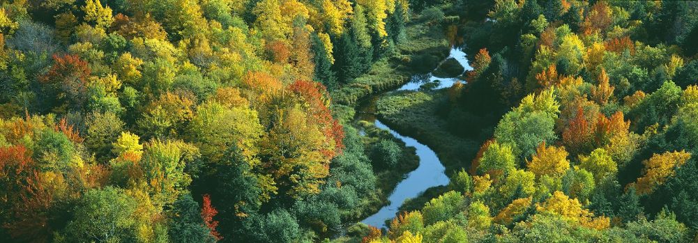 "Autumn color at Porcupine State Park, Michigan's Upper Peninsul