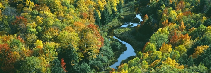 "Autumn color at Porcupine State Park, Michigan's Upper Peninsul