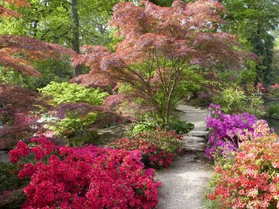 Garden In Bloom