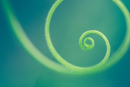 Tendril