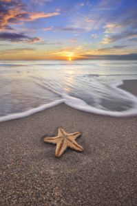 Starfish and the sunrise