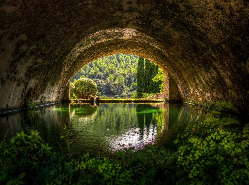 Old garden