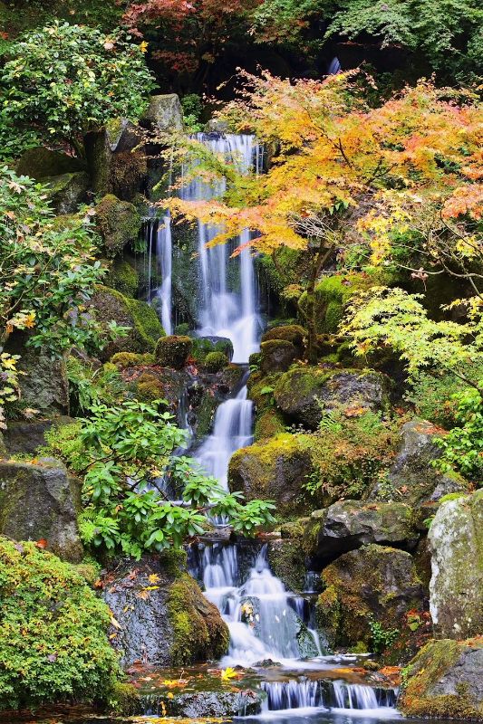 A Waterfall In The Portland Japanese Garden In Autumn