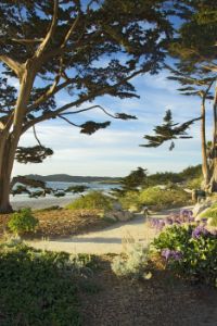 Walk by the Sea Carmel California