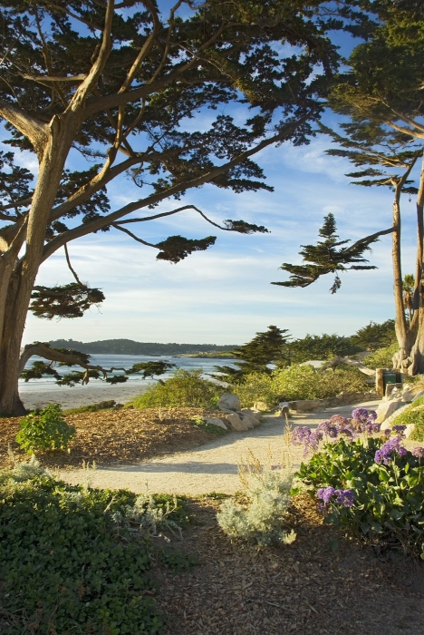 Walk by the Sea Carmel California
