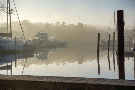 Early Morning Fog Blankets a Marina