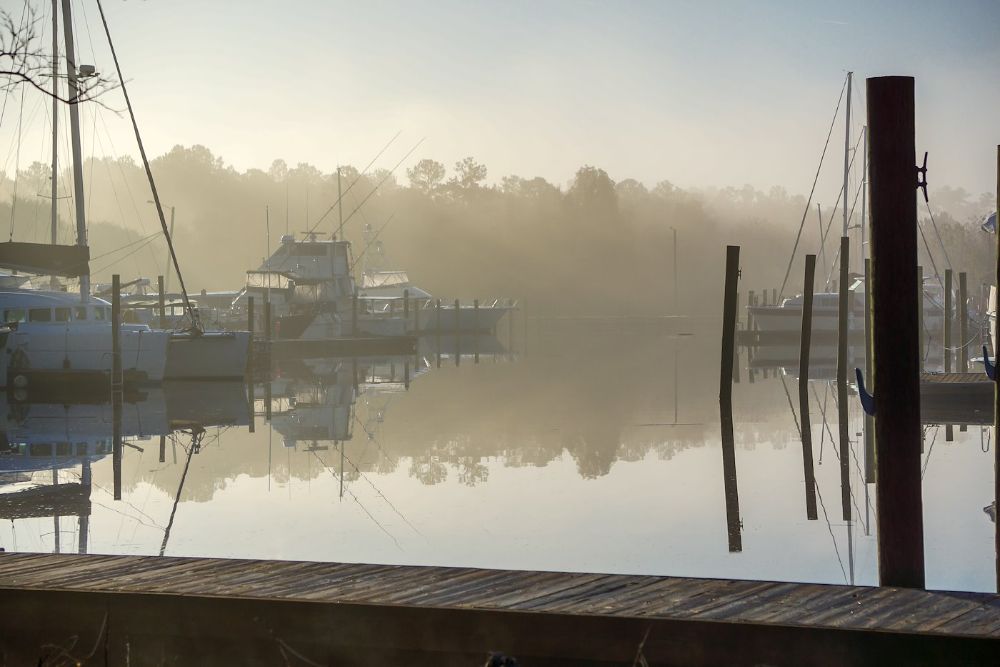 Early Morning Fog Blankets a Marina