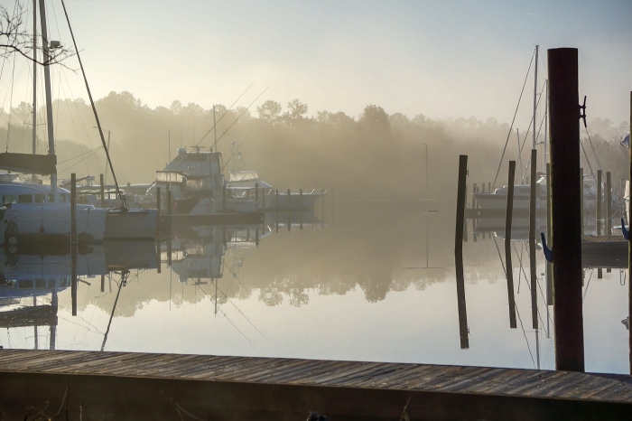 Early Morning Fog Blankets a Marina