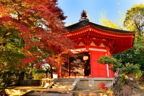 Nobutoshi Akao