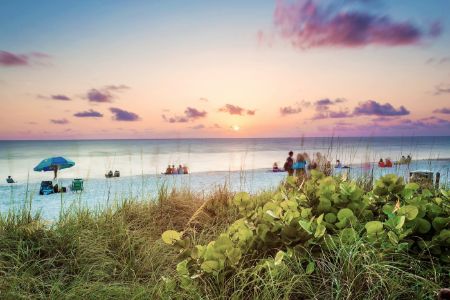 Pristine and idyllic beach at sunset in a bright day, Naples, Fl