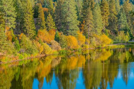San Bernardino County with autumn foliage at Grass Valley Lake ,