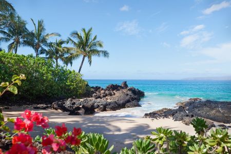 Tropical beach