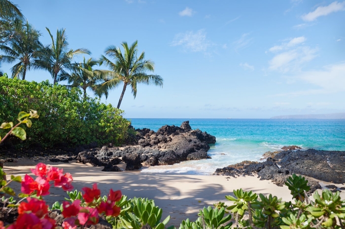 Tropical beach