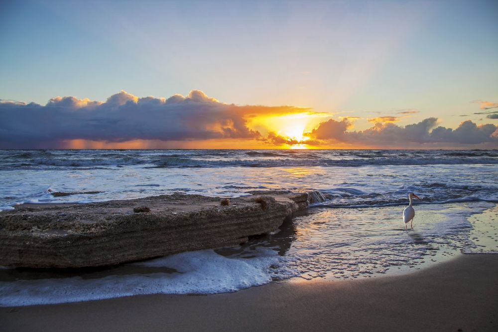 Ibis Beach