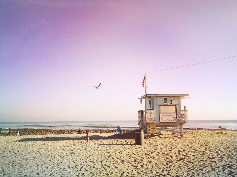 Another beach day dream