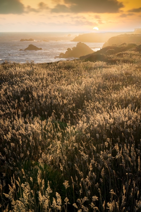 Coastal California