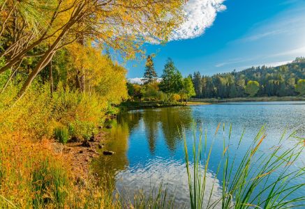 San Bernardino County with autumn foliage at Grass Valley Lake ,