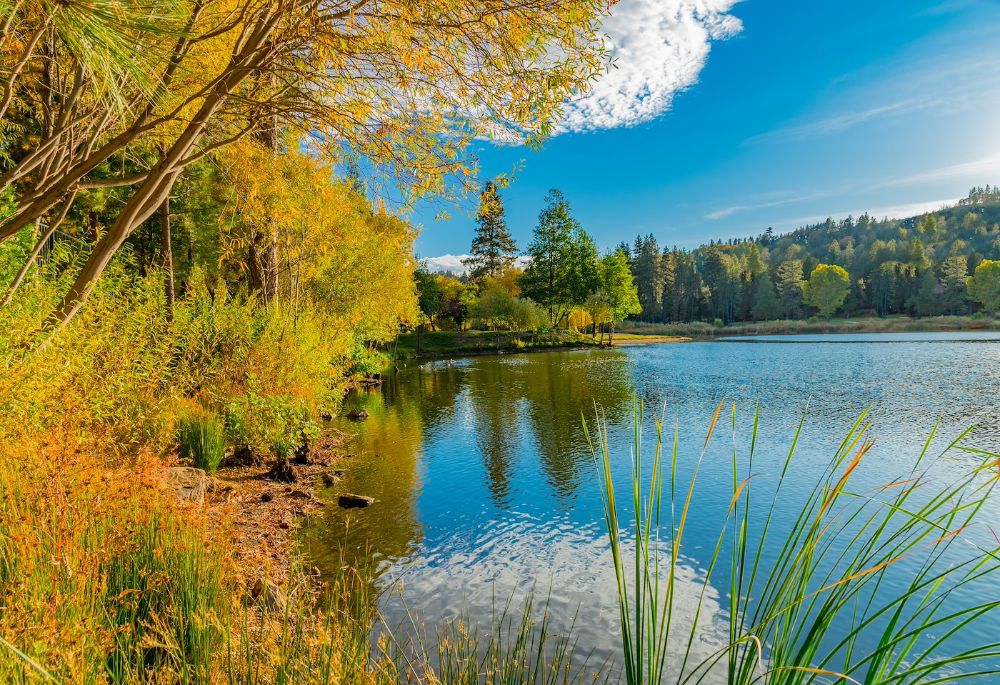 San Bernardino County with autumn foliage at Grass Valley Lake ,