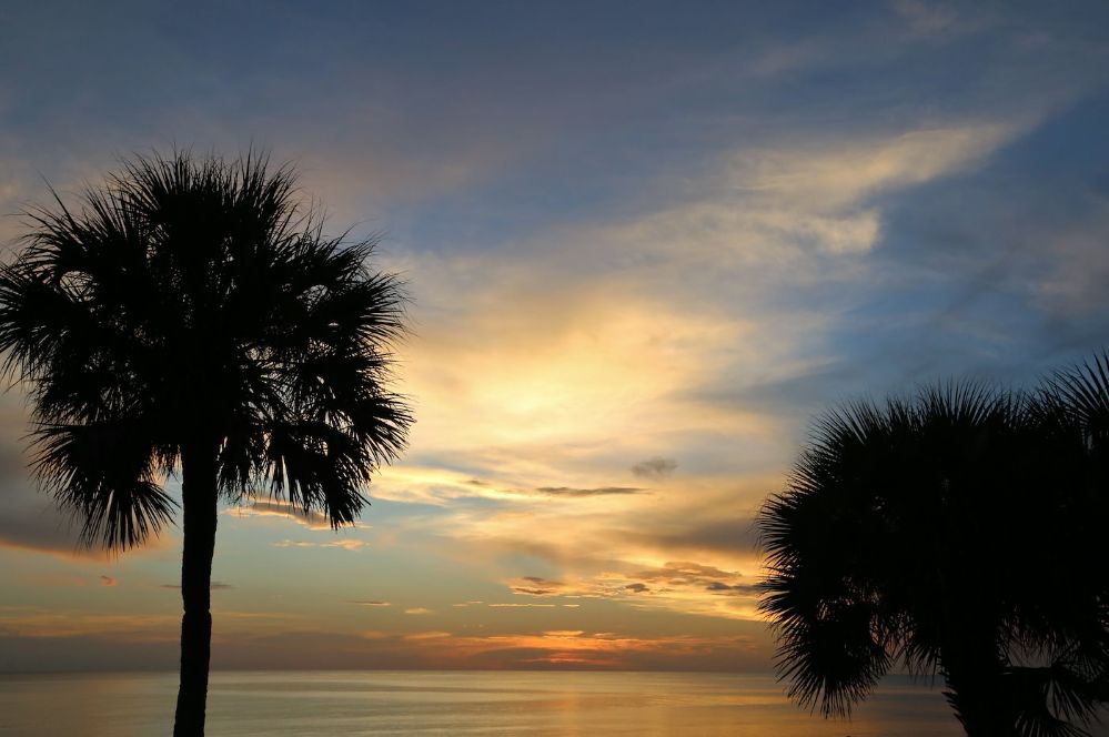 Palm Trees in a colorful Sky at Clam Pass Park, Naples, Florida,