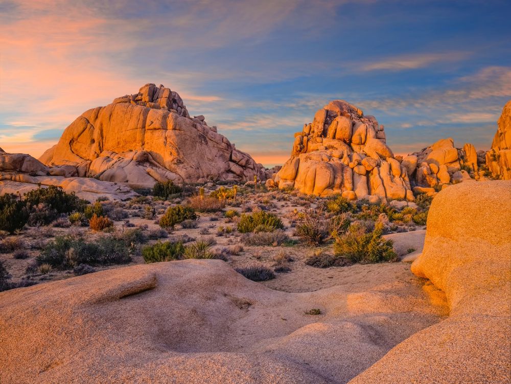 Southwest desert USA  at Joshua Tree National Park, CA