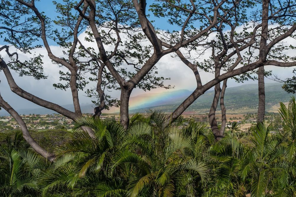 Beautiful Maui vista with a rainbow
