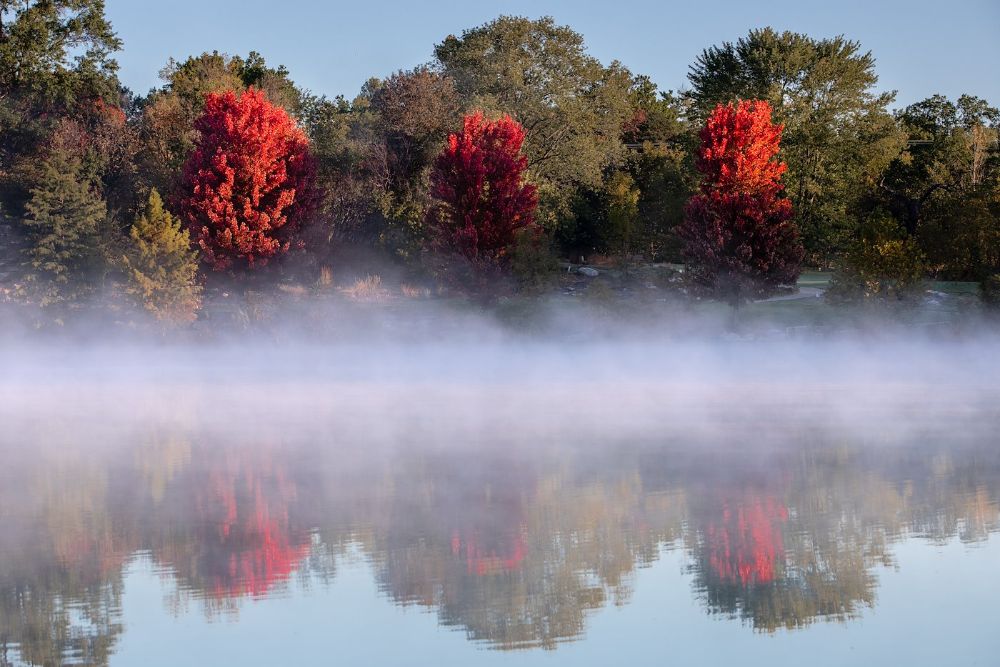 Red Autumn trees with Foggy Lake