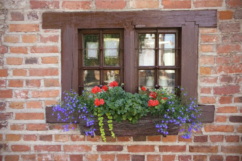 Window in an old brick wall