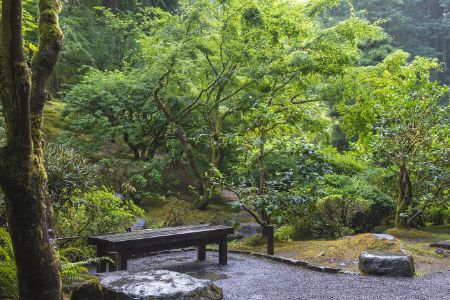 Bench at The Japanese Garden Portland Oregon