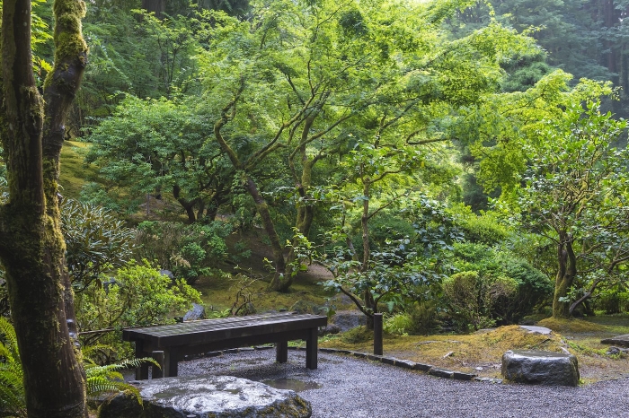 Bench at The Japanese Garden Portland Oregon