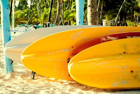 Paddle boards on beach