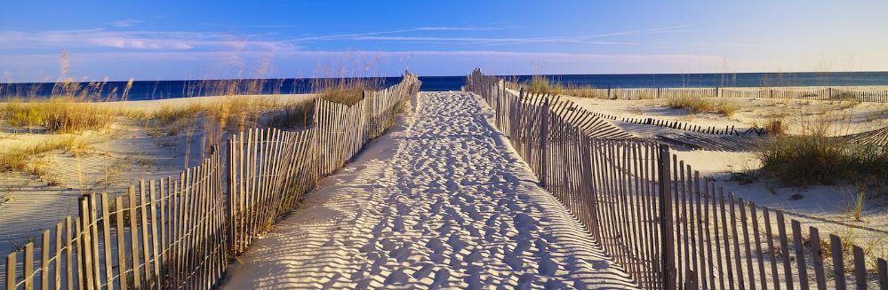 Pathway and sea oats on beach at Santa Rosa Island near Pensaco