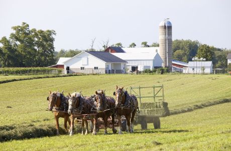 Four-horse team pulling hay baler on Amish farm