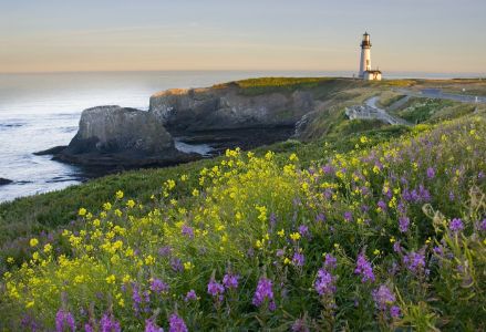 Yaquina Head Light in Oregon