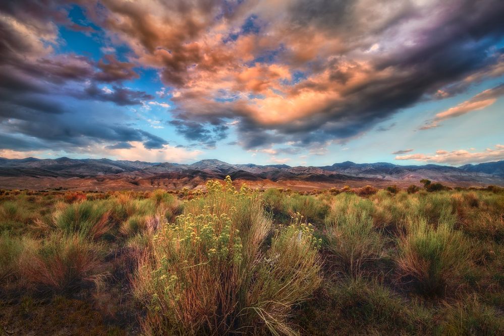 The all american landscape