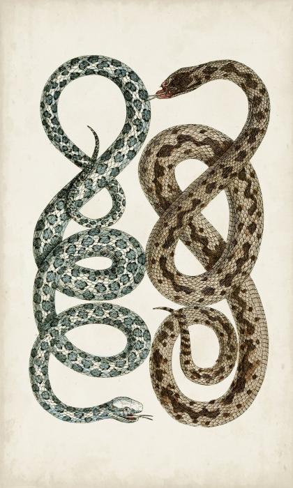 Antique Snakes IV