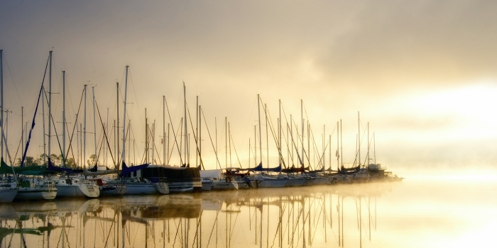 Marina Morning I