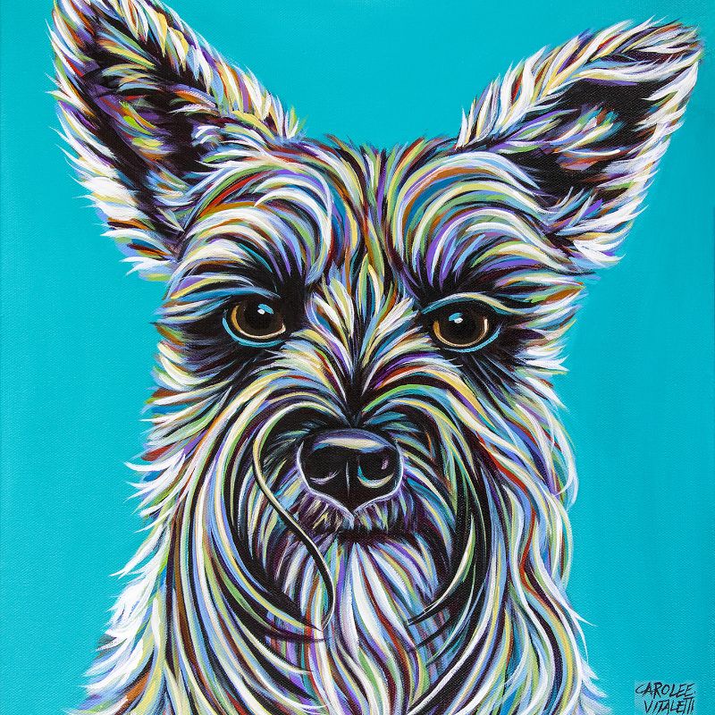 Colorful Schnauzer